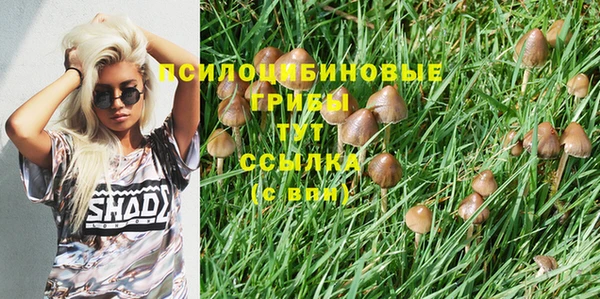 ECSTASY Абинск