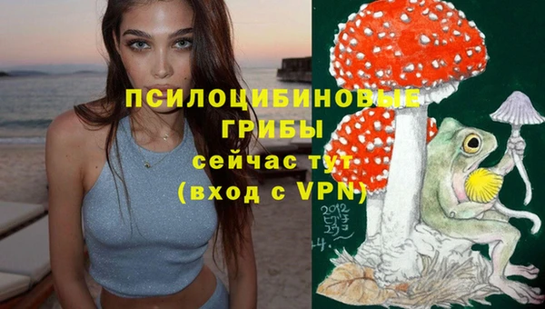 молекула духа Алексин