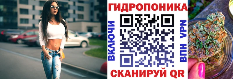 Каннабис сатива  закладки  Отрадное 